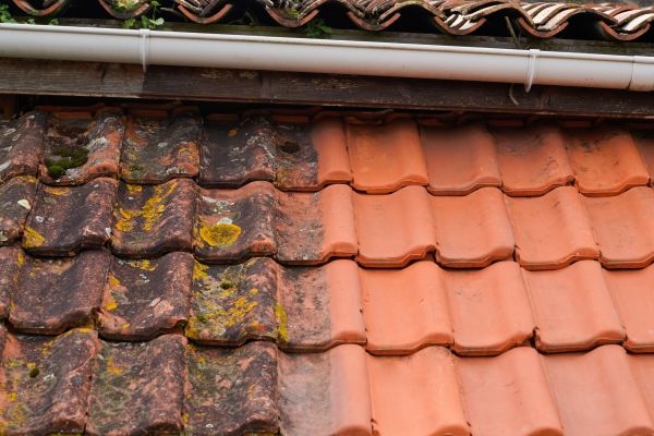 Cost of Industrial Roof Cleaning in Des Moines